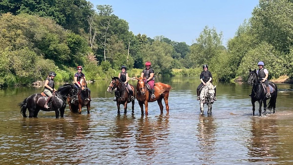 Promotional image of Bank Farm Equestrian Centre