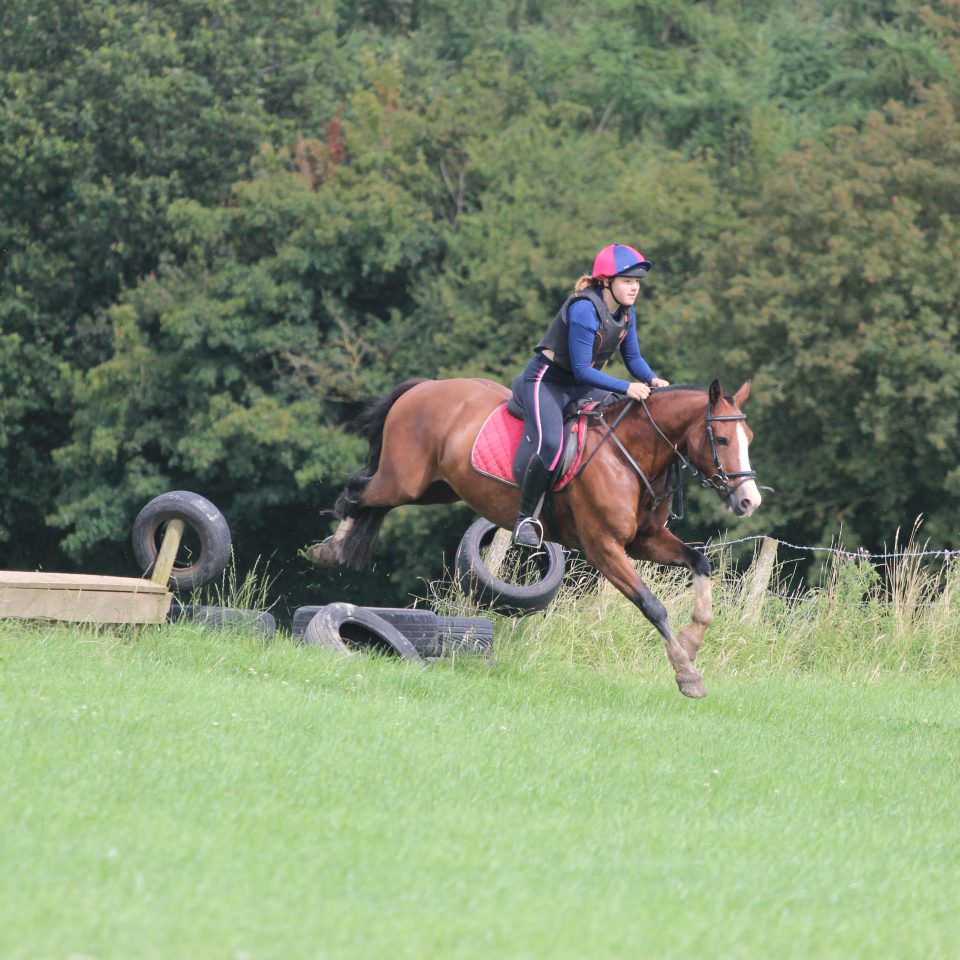 A horse and rider jumping
