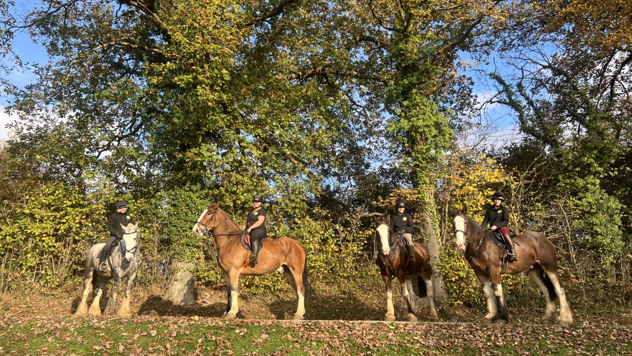 4 riders on heavy horses at Bank Farm Equestrian Centre