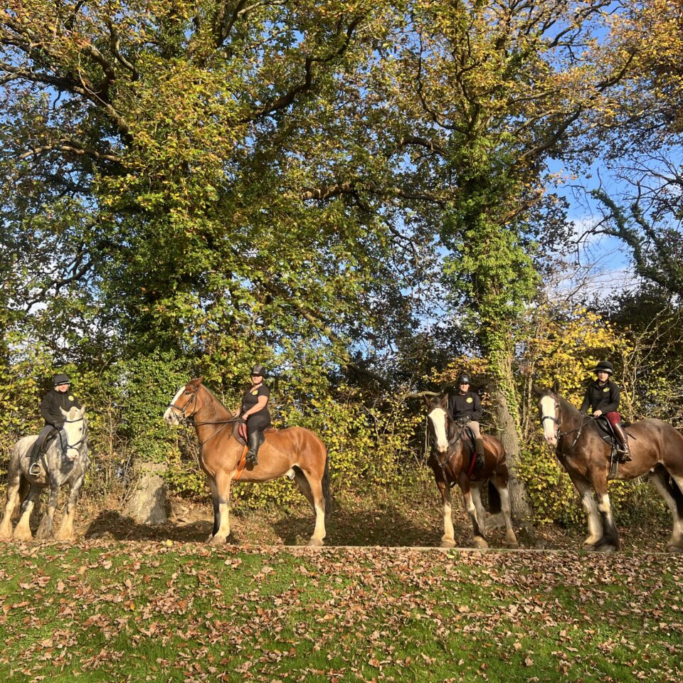 4 riders on heavy horses at Bank Farm Equestrian Centre