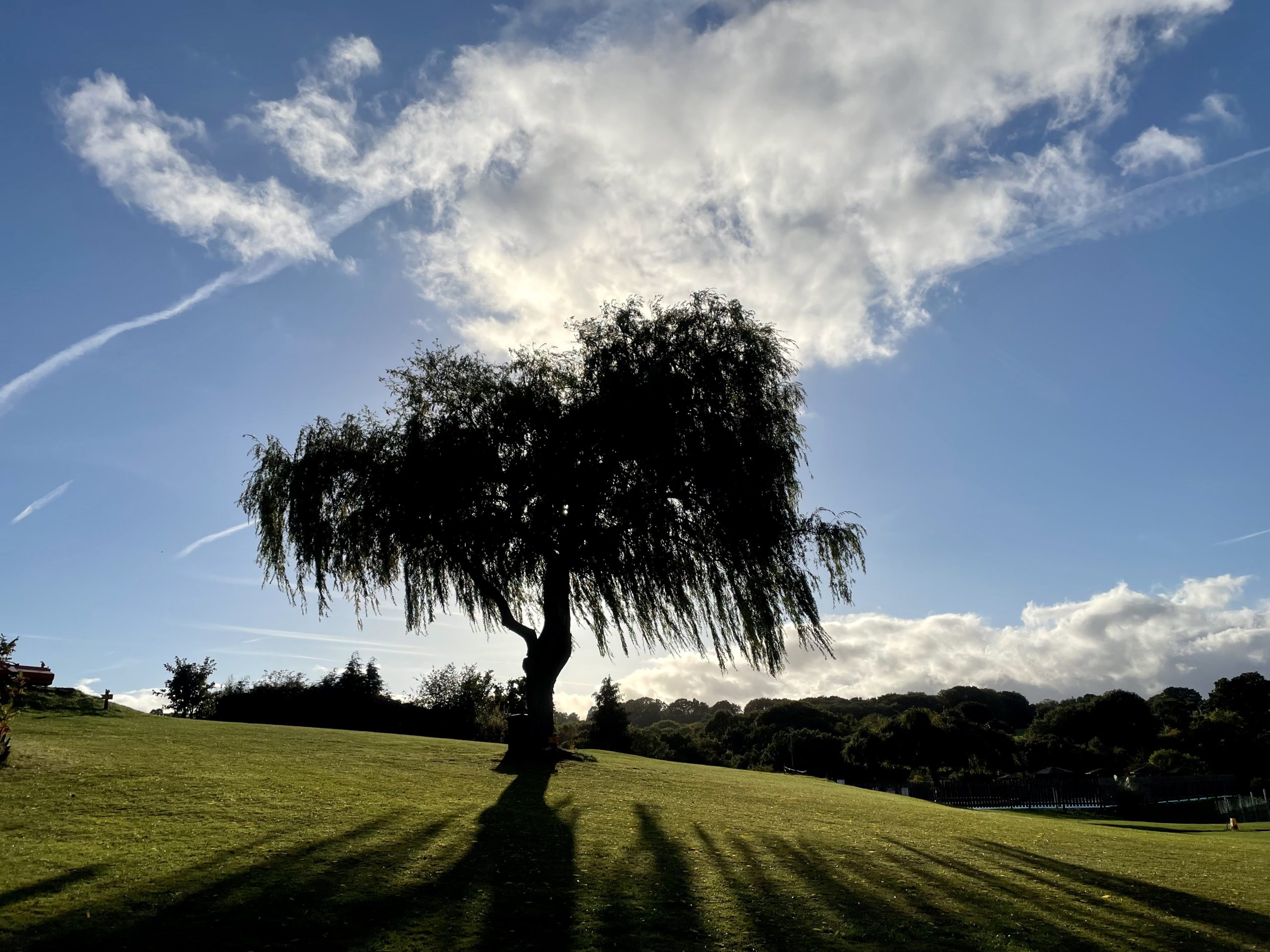 a tree on the fourth hole on the Bank Farm holiday Park pitch and putt golf course