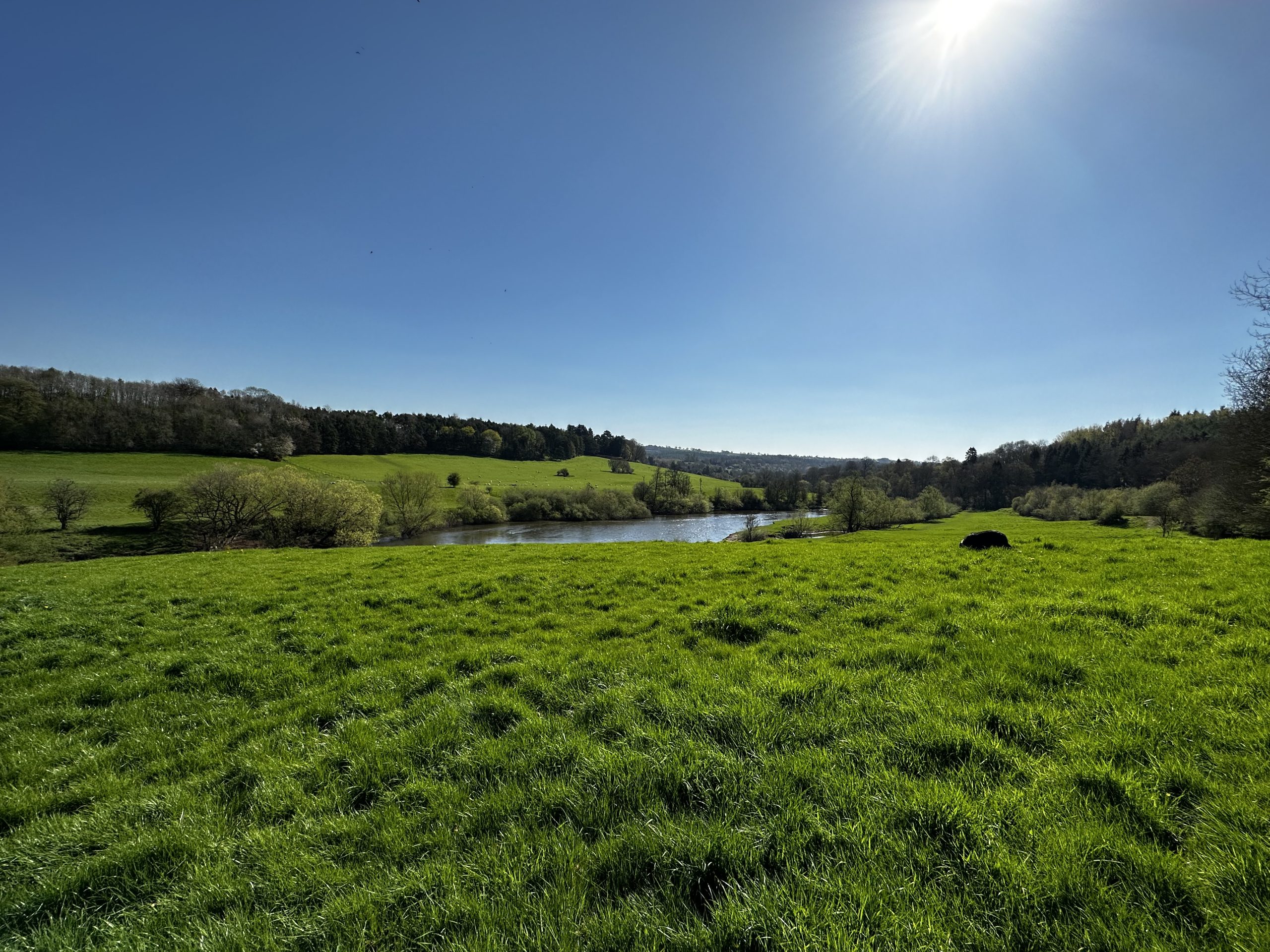 The river seven flows gently through to Meadows, either side