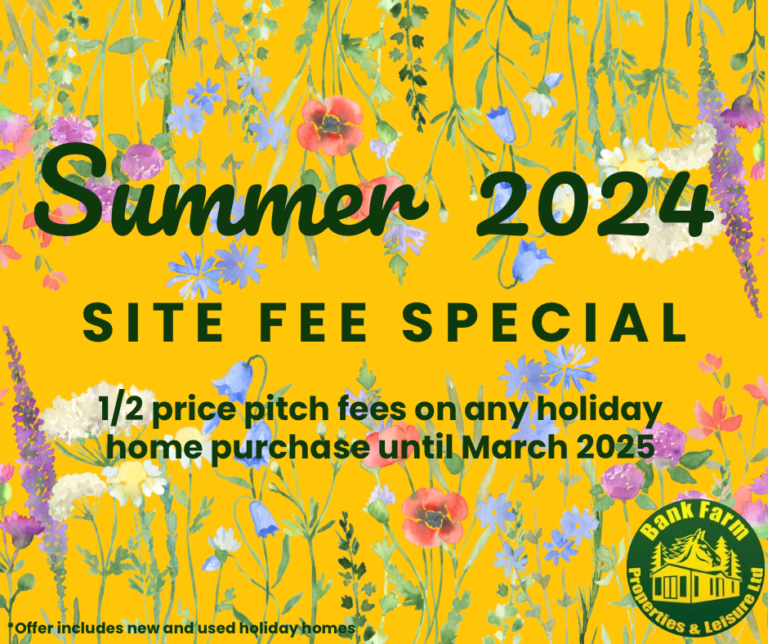 Summer offer campaign with flowers and yellow background