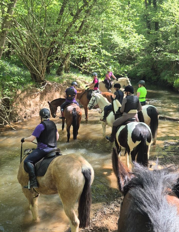 Bank farm equestrian centre riding group