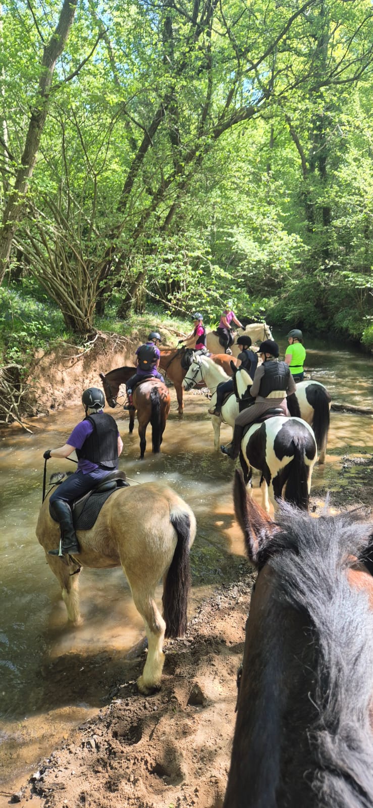 Bank farm equestrian centre riding group