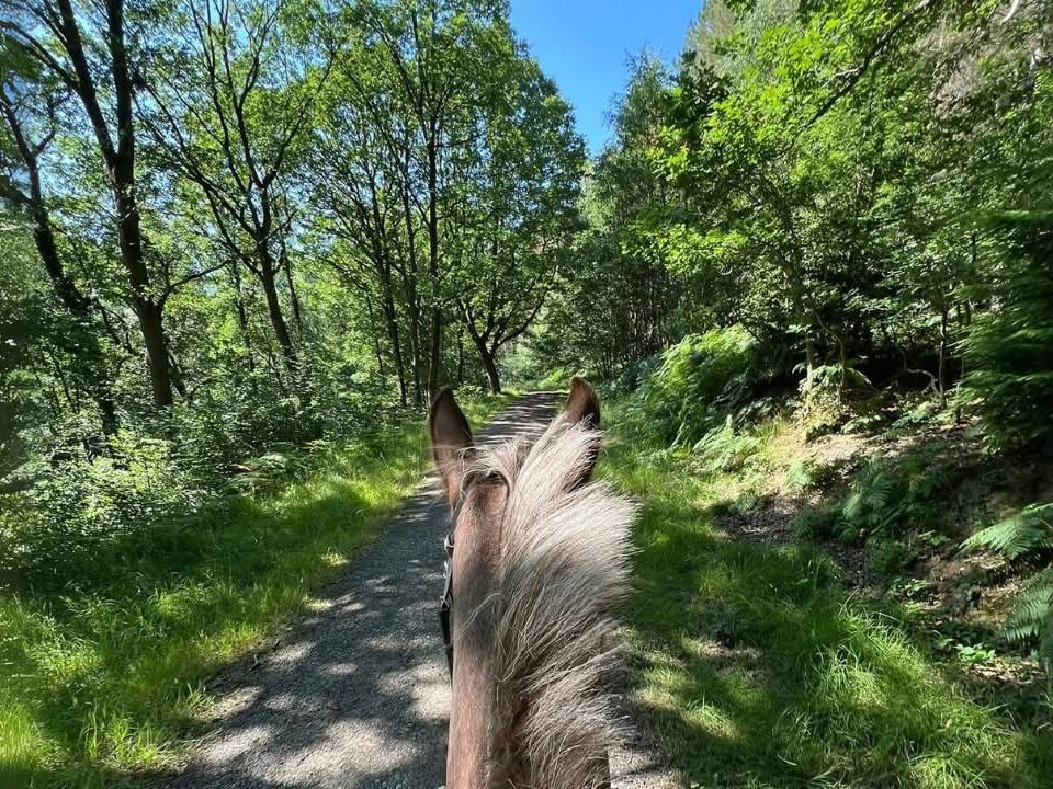 Riding country near bank farm equestrian centre