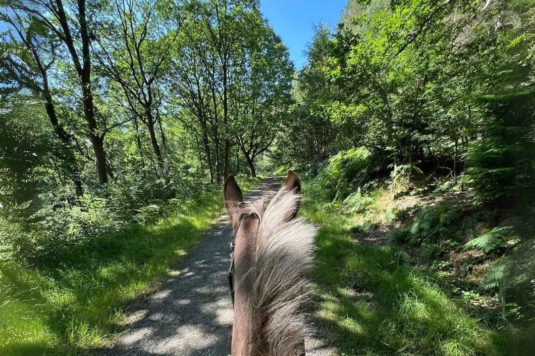 Riding country near bank farm equestrian centre