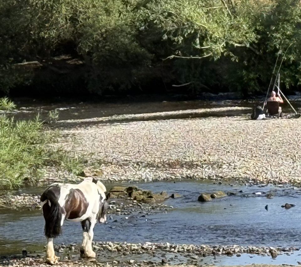 Fishing on the river severn