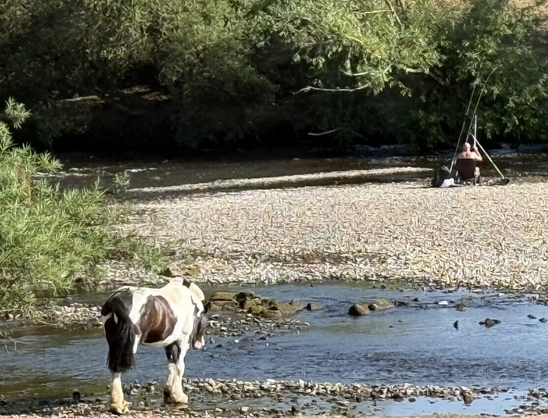 Fishing on the river severn