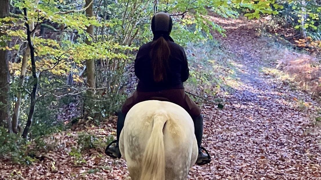 a girl riding through the forest on a grey pony