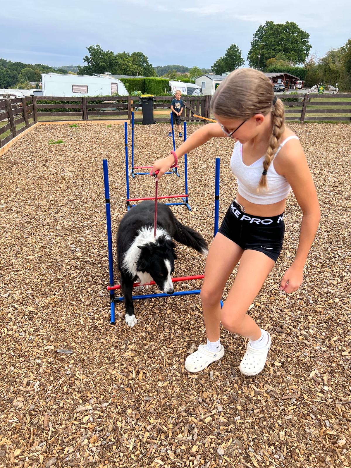 Dog agility area with collie dog and girl