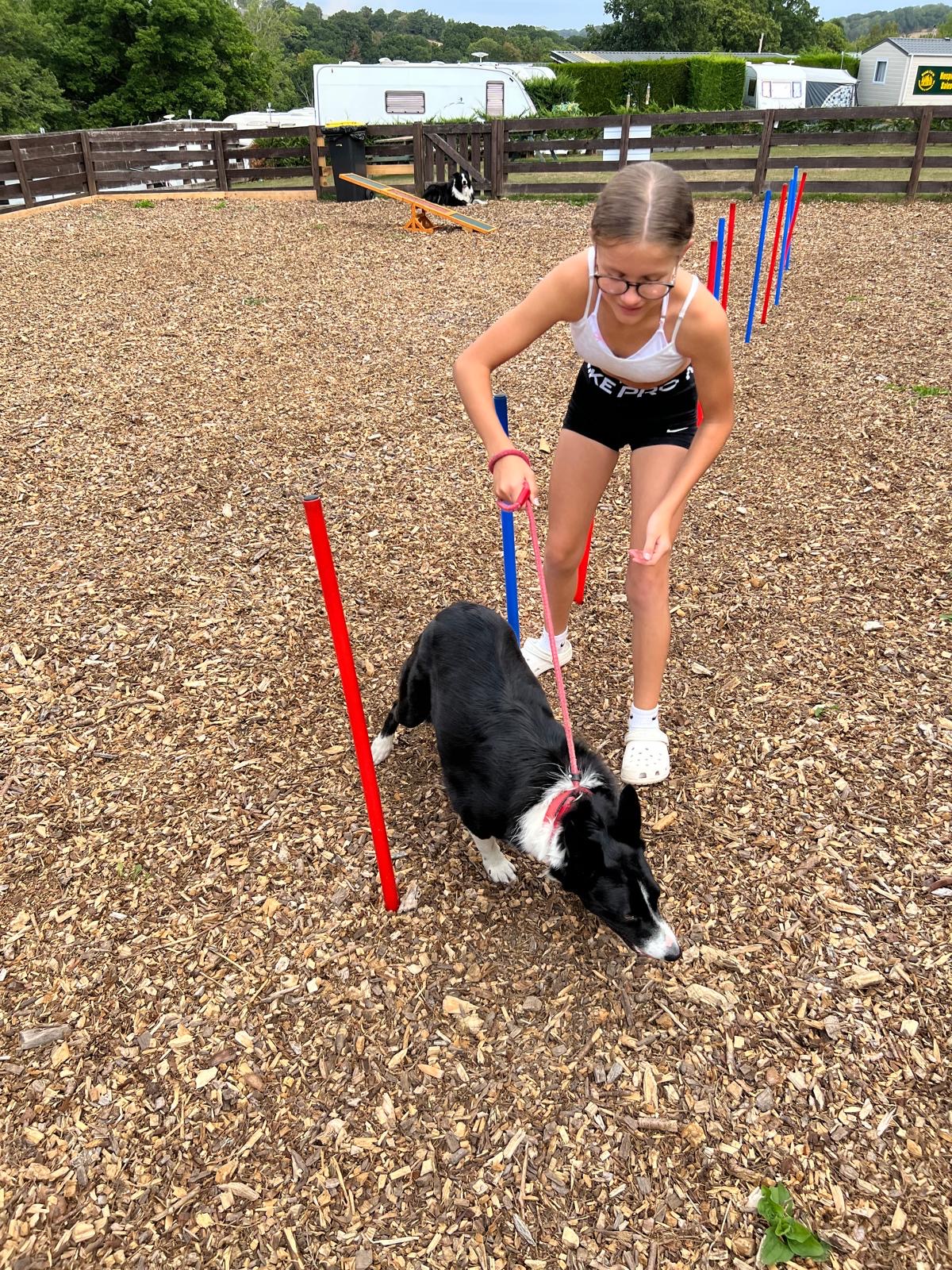 Dog agility area with collie dog and young girl