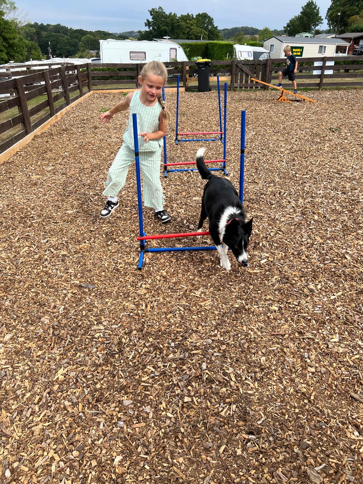 Dog agility area with collie dog and small girl